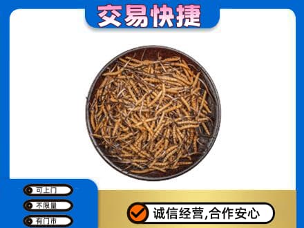 湛江市徐闻回收散虫草